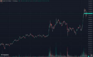 The price circulation of BTC on Election Day (TradingView/CryptoWatch)